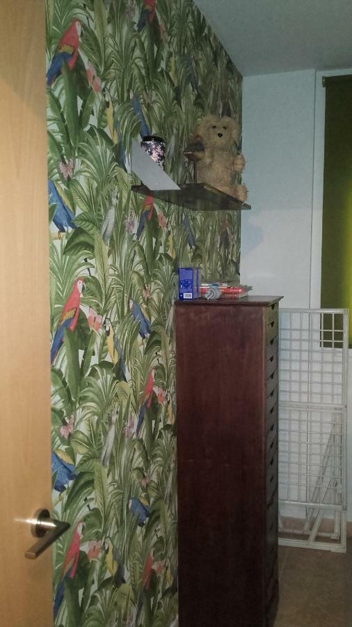 Apartament 4 Gats Deltebre Zewnętrze zdjęcie